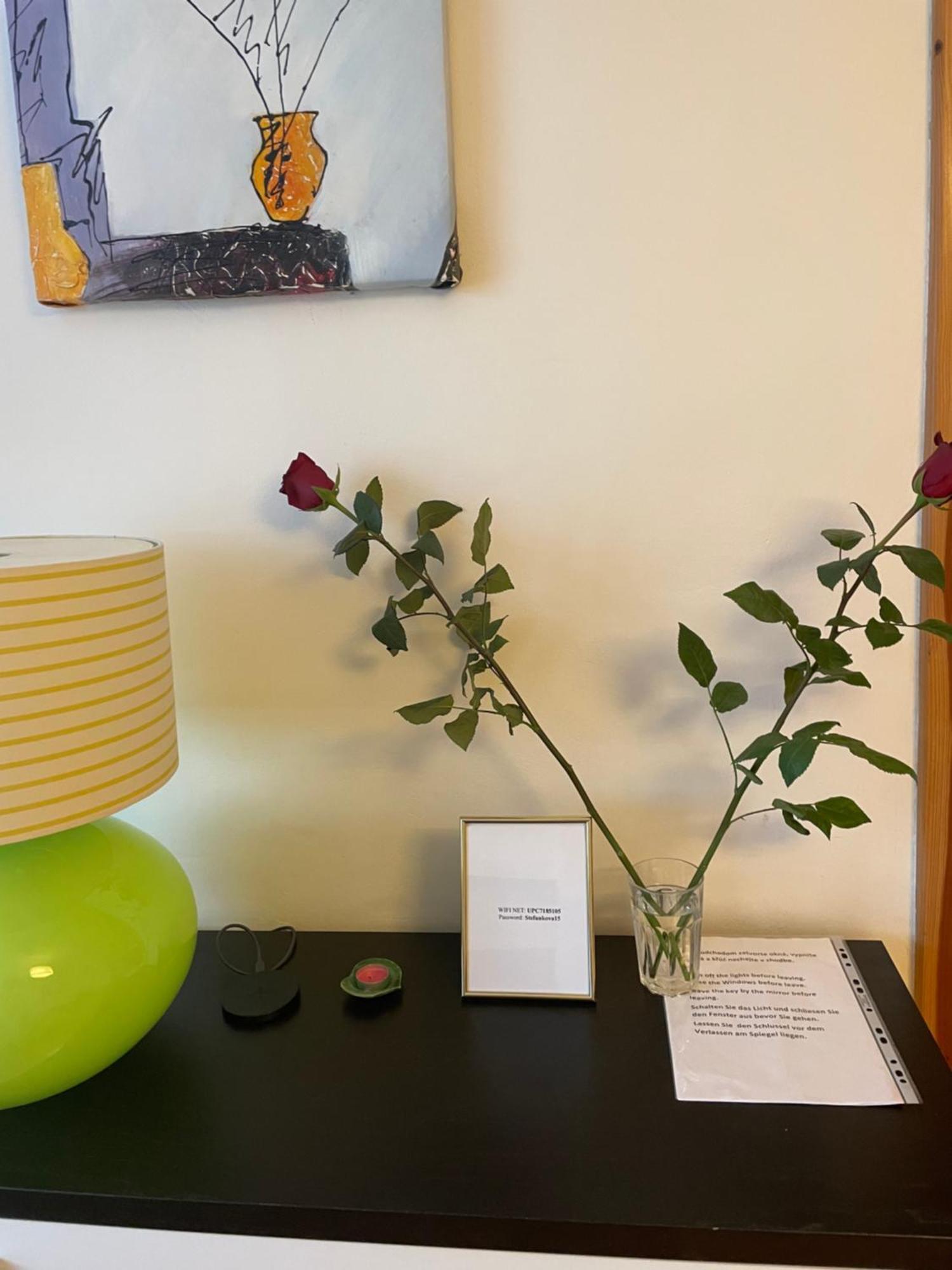 ברטיסלאבה 2,5 Izbovy Apartman V Ruzinove S Parkovanim Zdarma מראה חיצוני תמונה